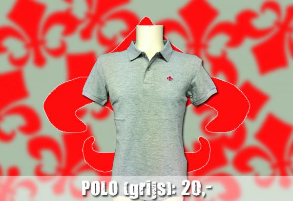 Polo grijs Polo grijs